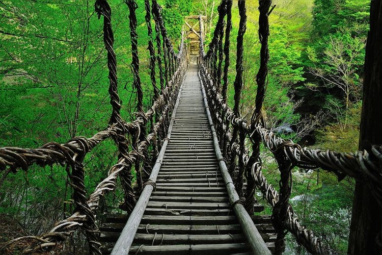 Puentes Colgantes de Doble Kazurabashi en Oku-Iya 3