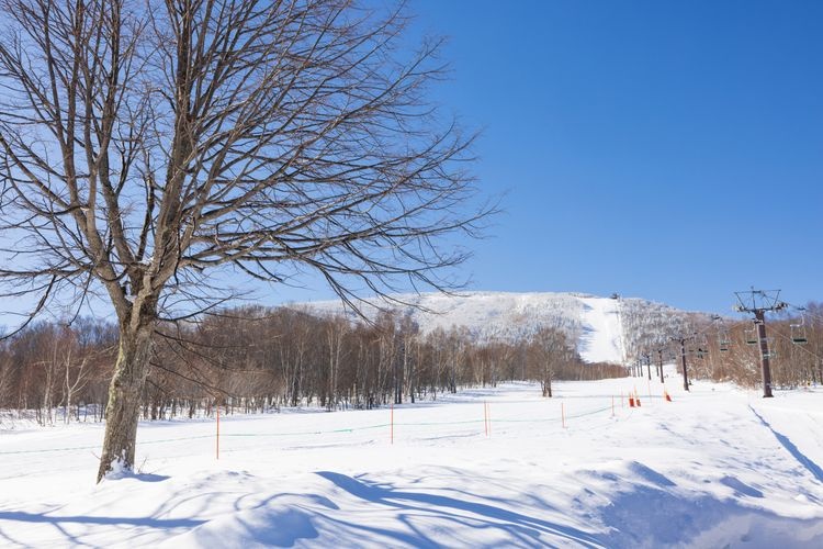 Okushiga Kogen Ski Resort