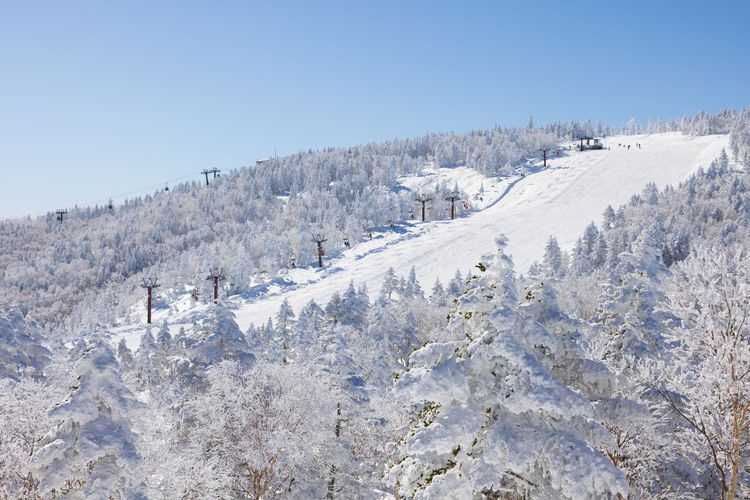 Khu nghỉ dưỡng trượt tuyết Okushiga Kogen 2