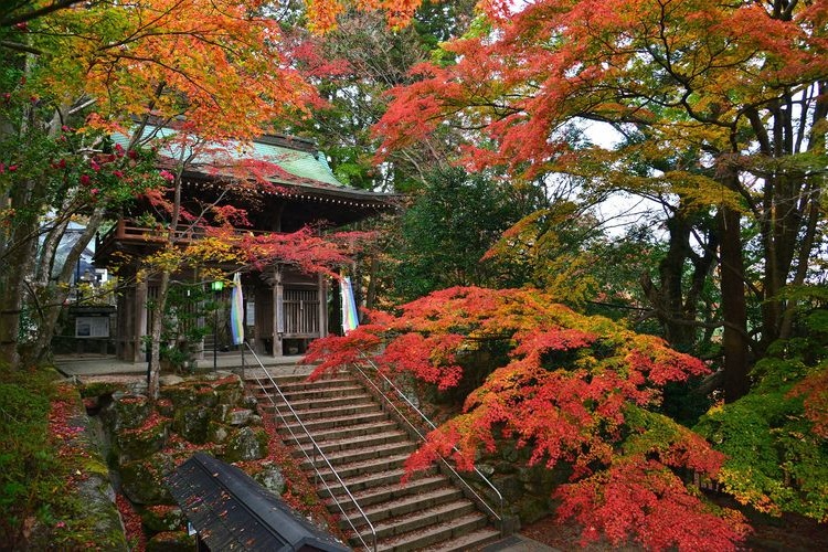Okubo-dera 3