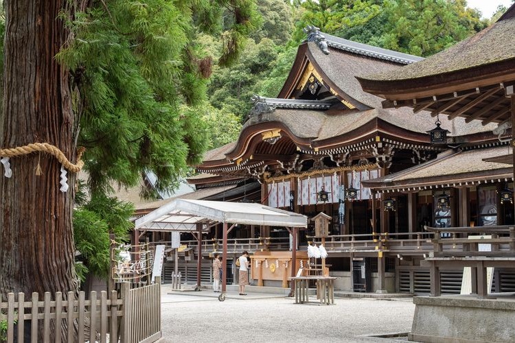 大神神社 2