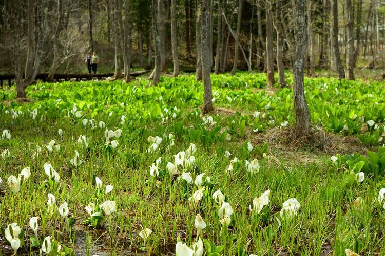 Ochagura Nature Park