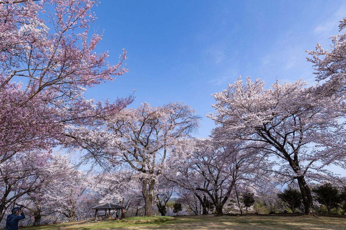 Okusa Castle Ruins Park