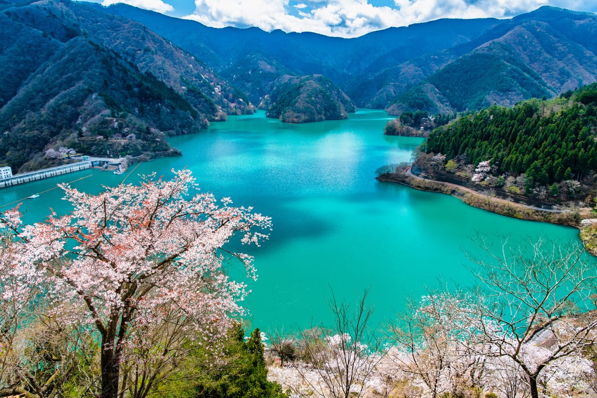 奥多摩湖 (Okutama Lake)