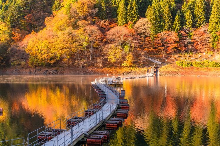 奥多摩湖 (Okutama Lake) 2