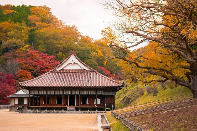 Kyū Kani Gakkō 3