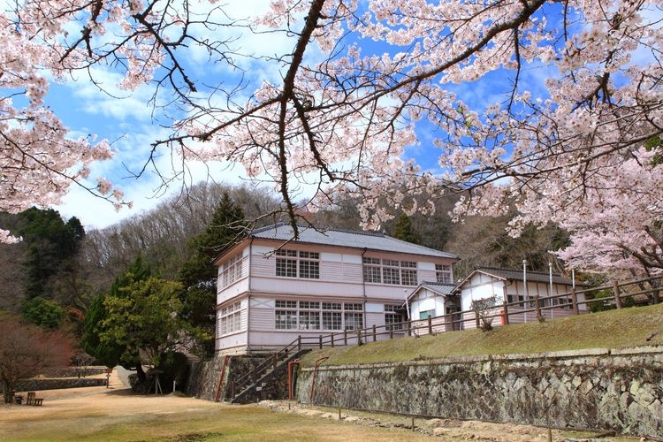 Bekku Kani School (Kyū Kani Gakkō) 6