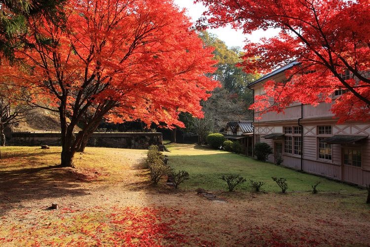 Bekku Kani School (Kyū Kani Gakkō) 7