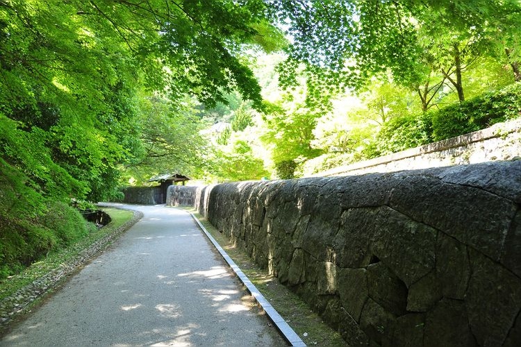 Bekku Kani School (Kyū Kani Gakkō) 9