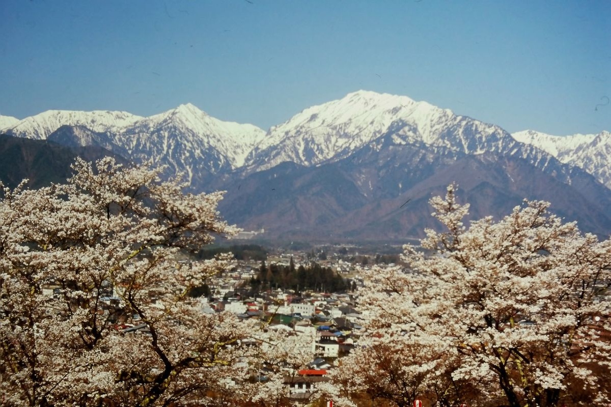 Omachi City Cemetery