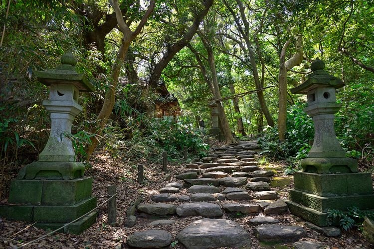 ศาลเจ้าโอ มินาโตะ (Ominato Shrine) 2
