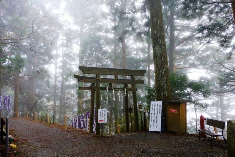 大峯奥駈道