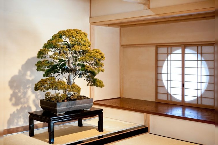 Omiya Bonsai Art Museum