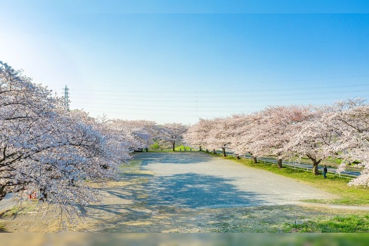 Omiya Daini Koen