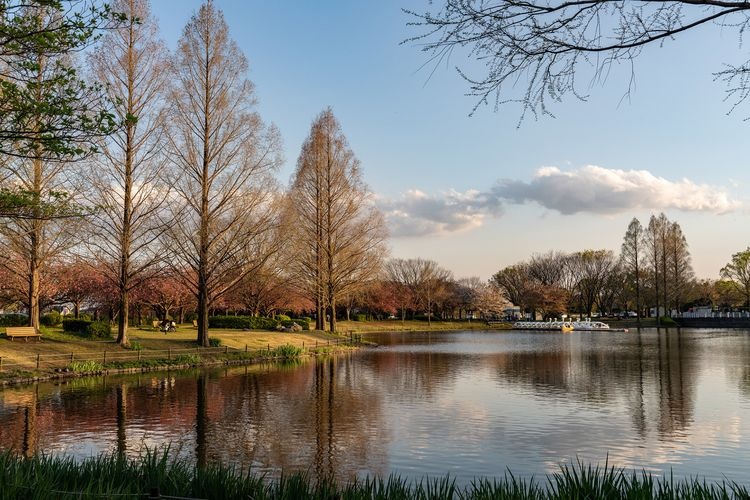 Omiya Daini Koen 2