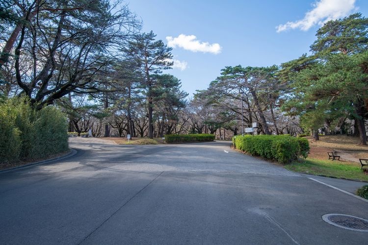 大宮公園 (Omiya Park)