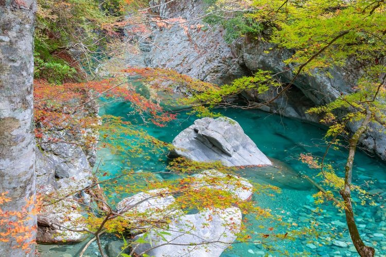 Omogokei Gorge