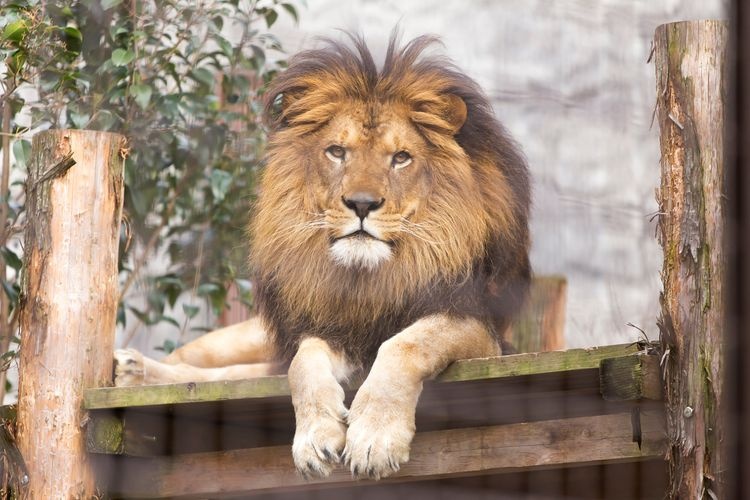 Omuta City Zoo 2