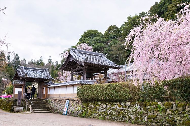 오노데라 (大野寺) 2