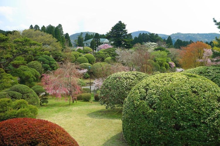 恩賜箱根公園 2