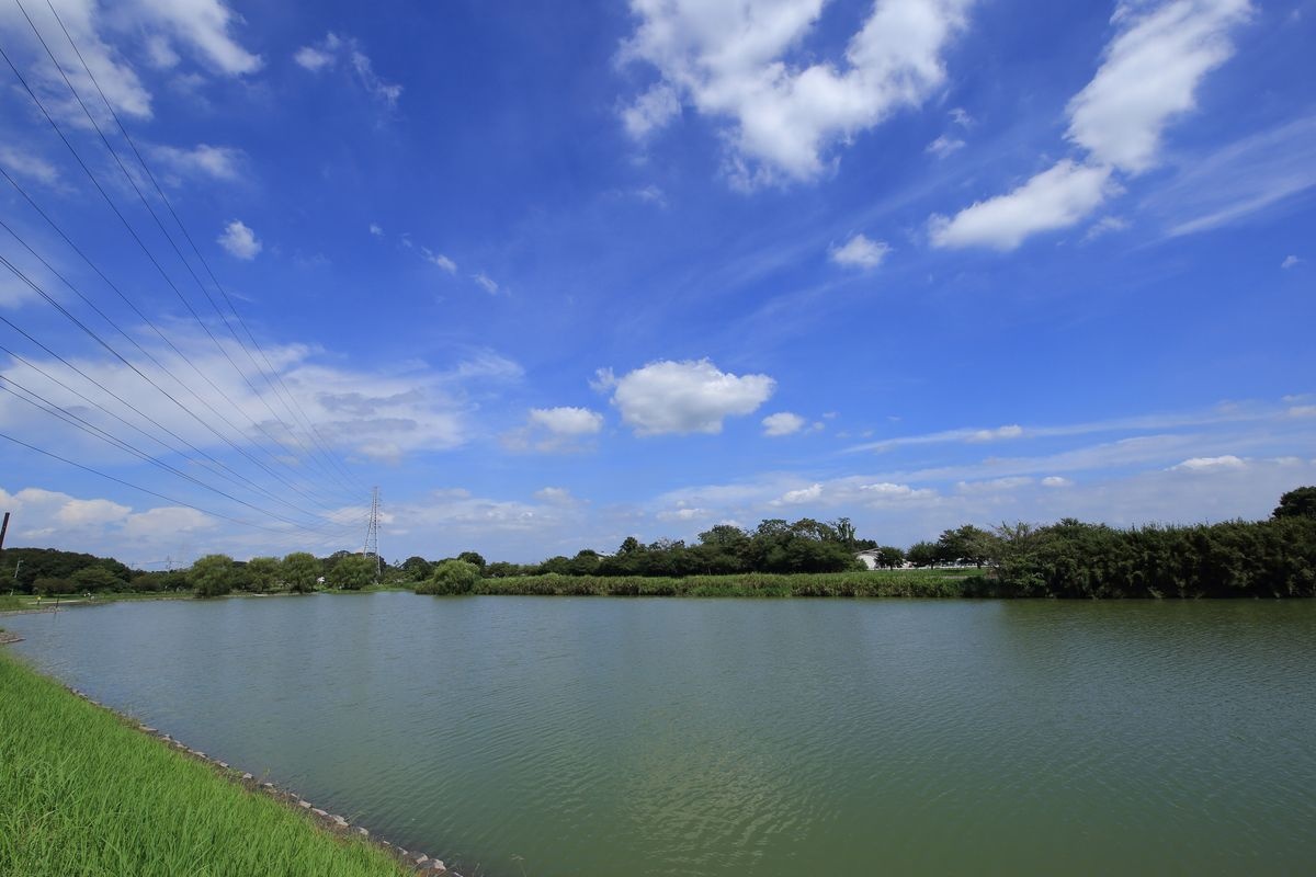 大沼公園