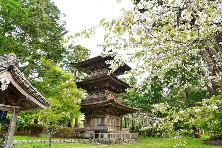 Oppoji Temple 2
