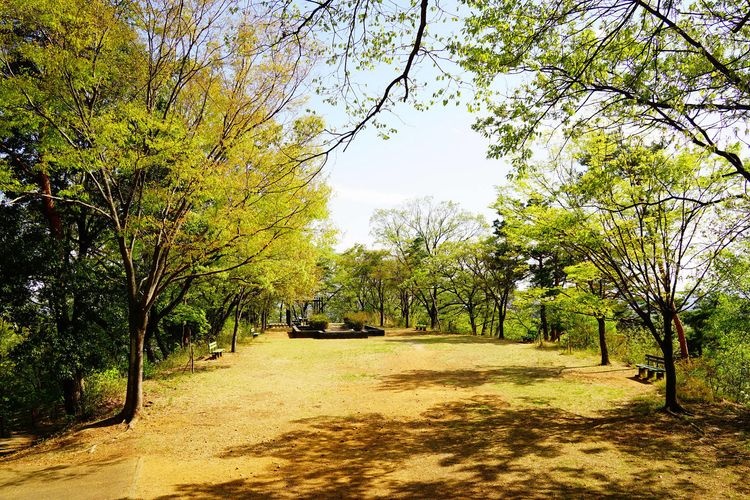 Orihime Park