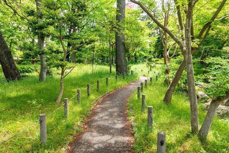 Nishinomaru Garden