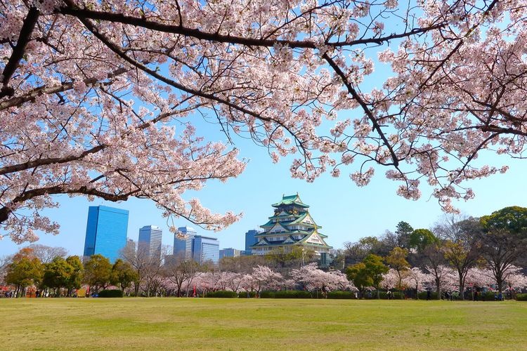 Nishinomaru Garden 2