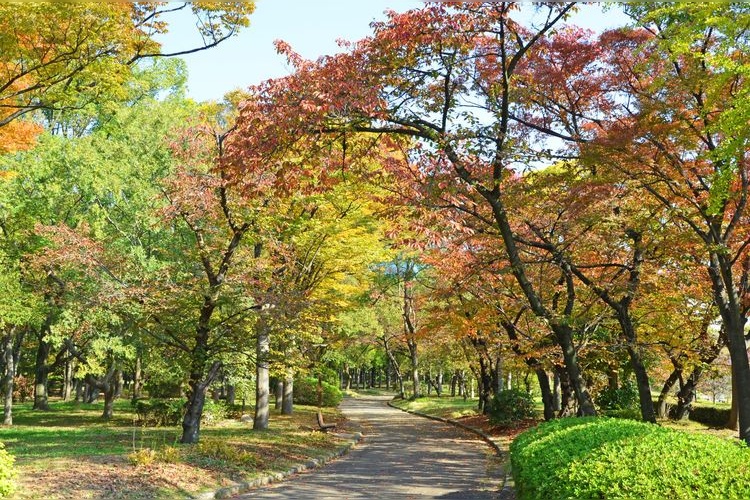 Nishinomaru Garden 3
