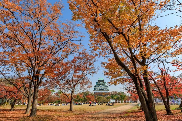 Nishinomaru Garden 9