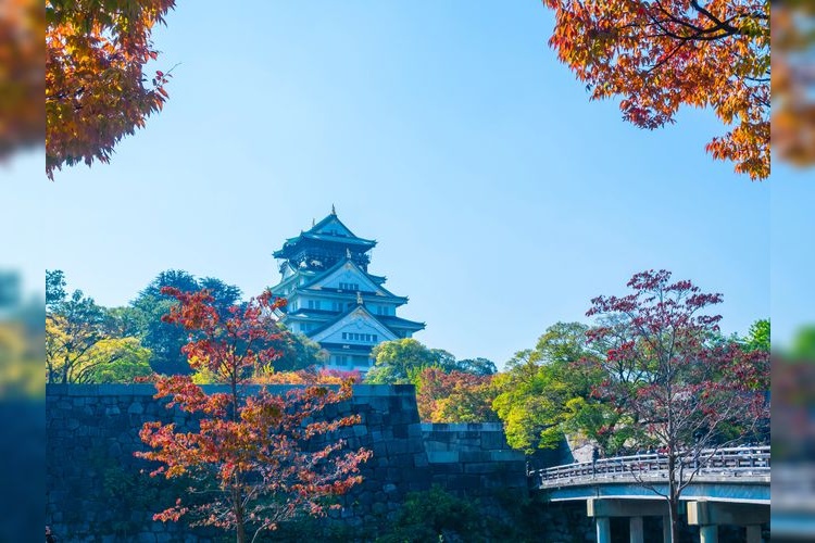 Château d'Osaka 4
