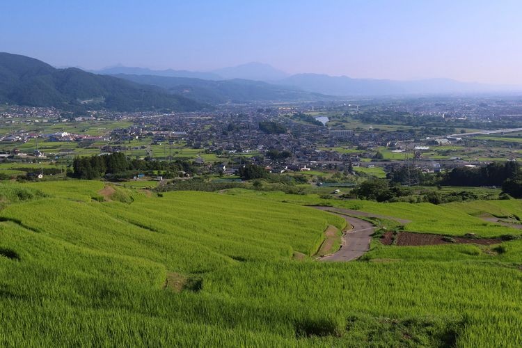 姨捨の棚田