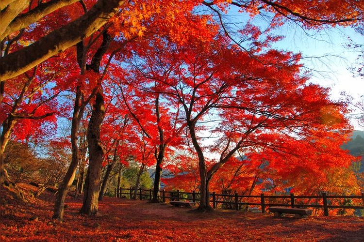 Parque Ozekiyama