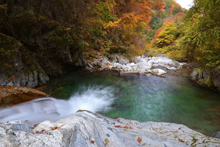 오지로우가와 계곡 (Obirogawa Valley)