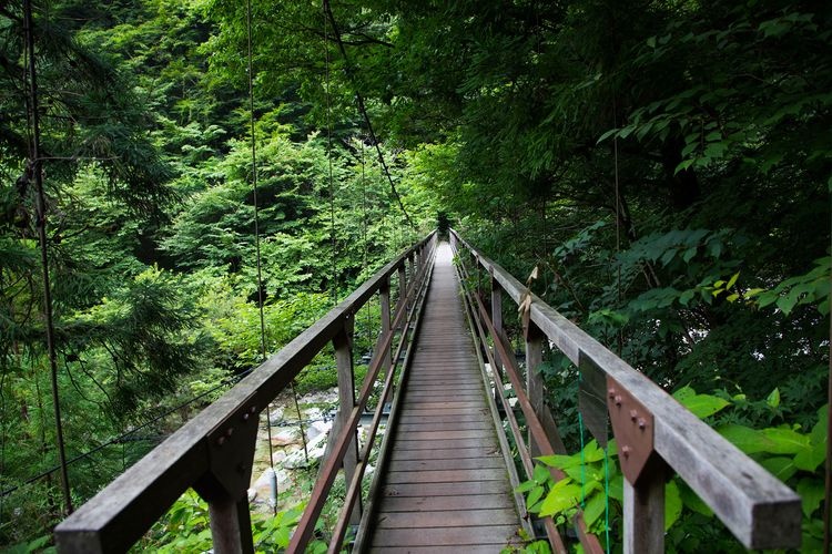 오지로우가와 계곡 (Obirogawa Valley) 2