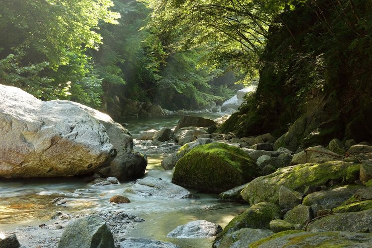 오지로우가와 계곡 (Obirogawa Valley) 3