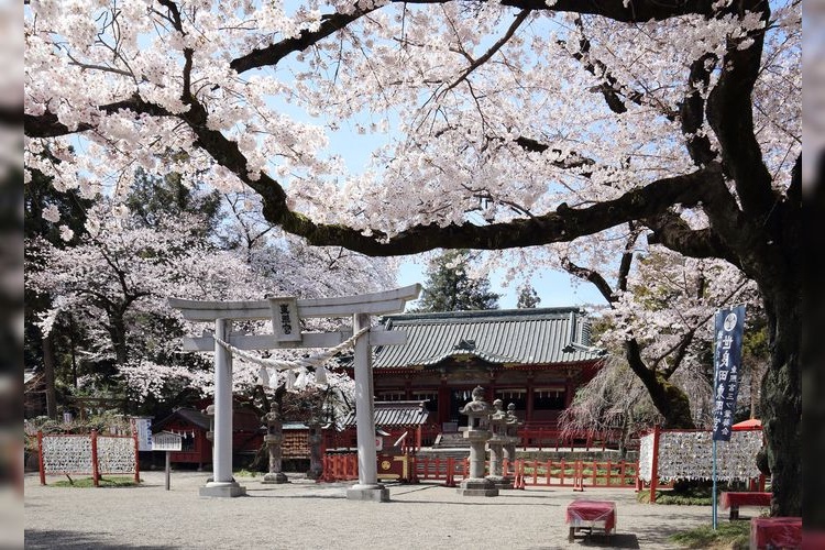 Ota City Nitta-so Historical Museum 2