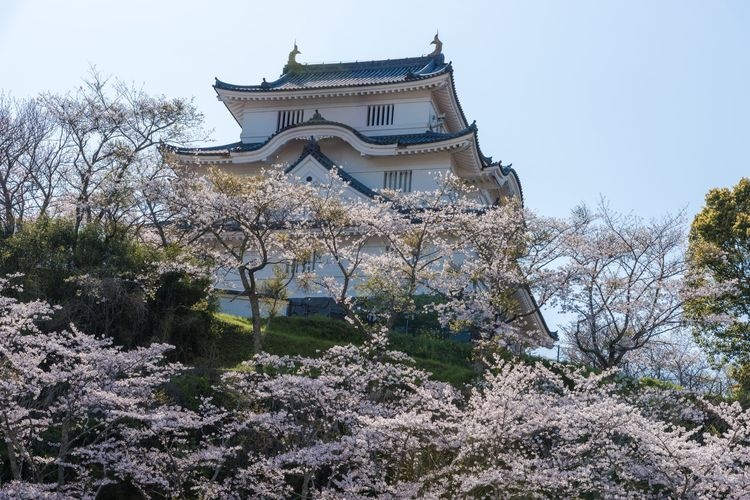 大泷喜城(千叶县立中央博物馆)