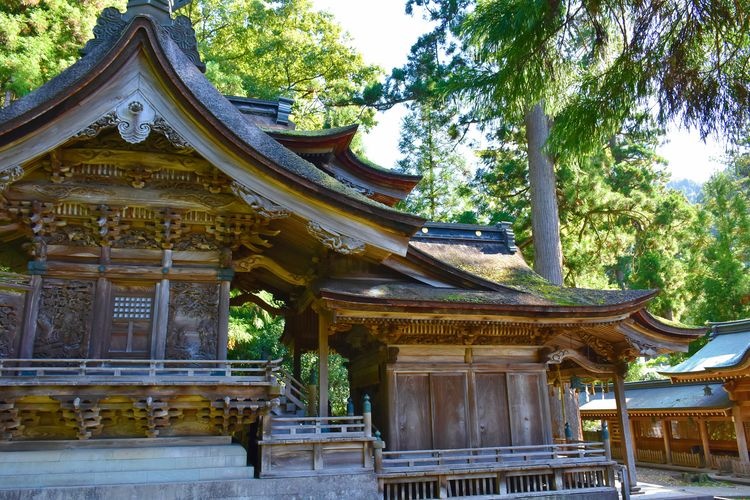 大瀧神社 (Ootaki Jinja)