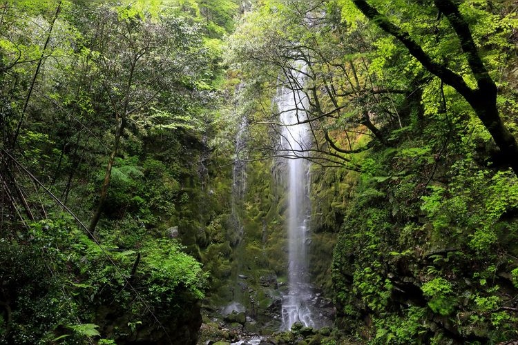 Cascata di Otobaru