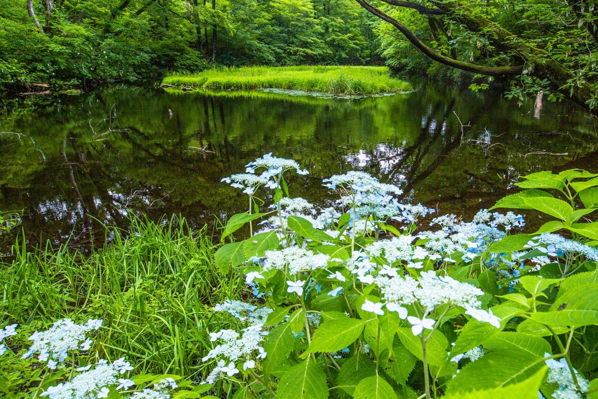 Otowa-ike Pond