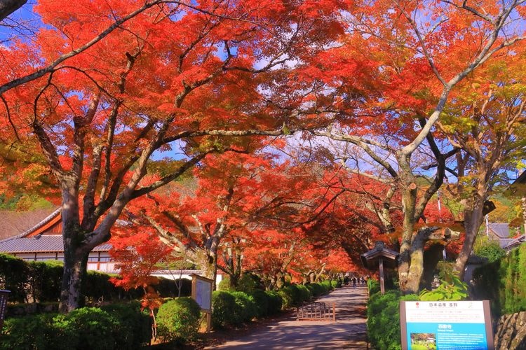 Quartier de conservation des bâtiments traditionnels de Sakamoto, Otsu 2