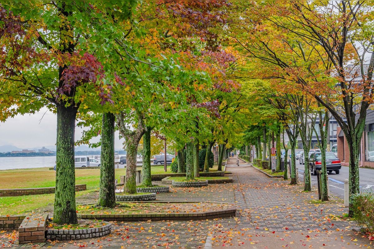 大津湖岸渚公園