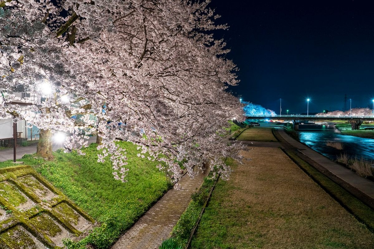 小矢部川公园
