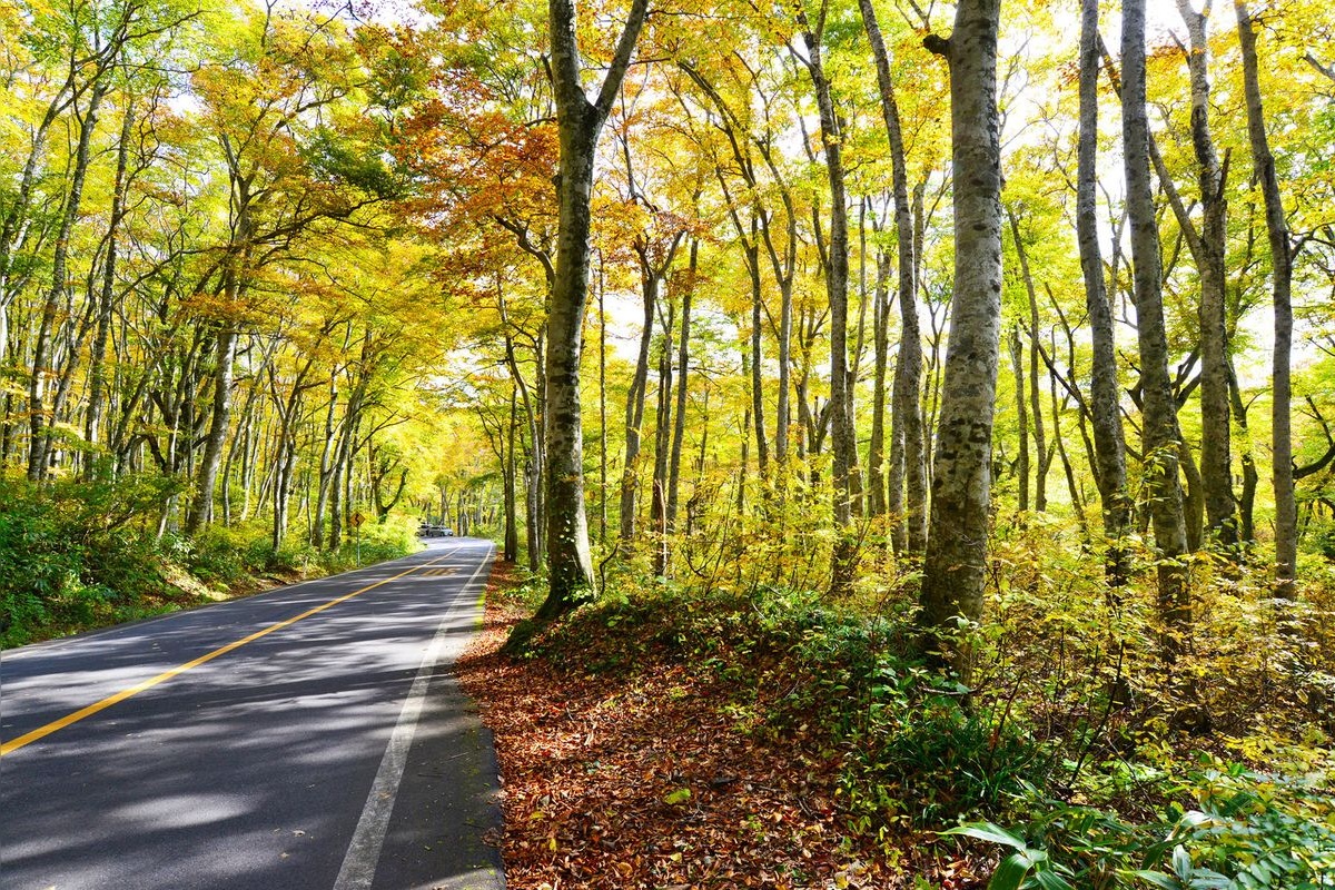 大山環狀道路