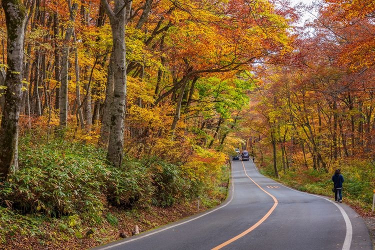 Daisen Chujo-do (Daisen Loop Road)