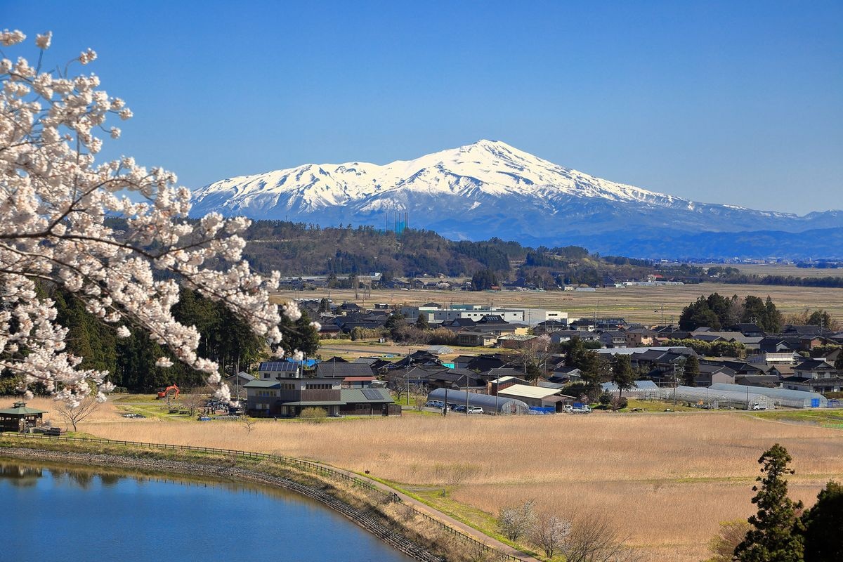 大山公园(大山展望所)