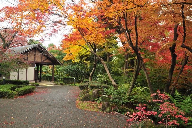 Asahi Group Oyamazaki Villa Museum 2