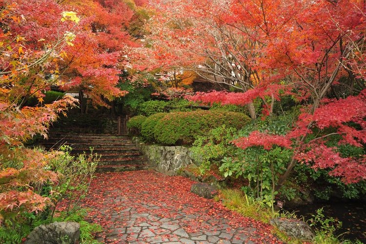 Asahi Group Oyamazaki Villa Museum 3
